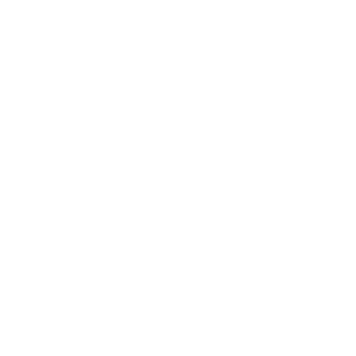 NL INTERNATIONAL FRANCE